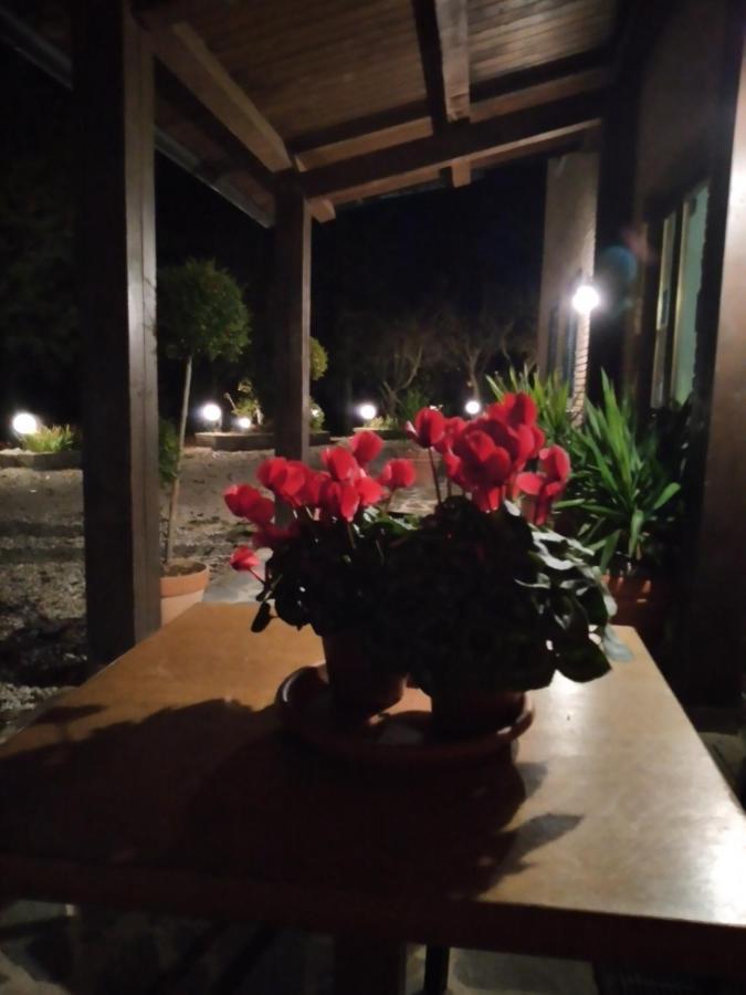 Hotel B&B Resort Fonte La Castellana Sarnano Εξωτερικό φωτογραφία